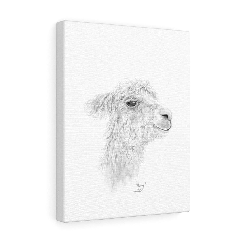 JERRY Llama - Art Canvas