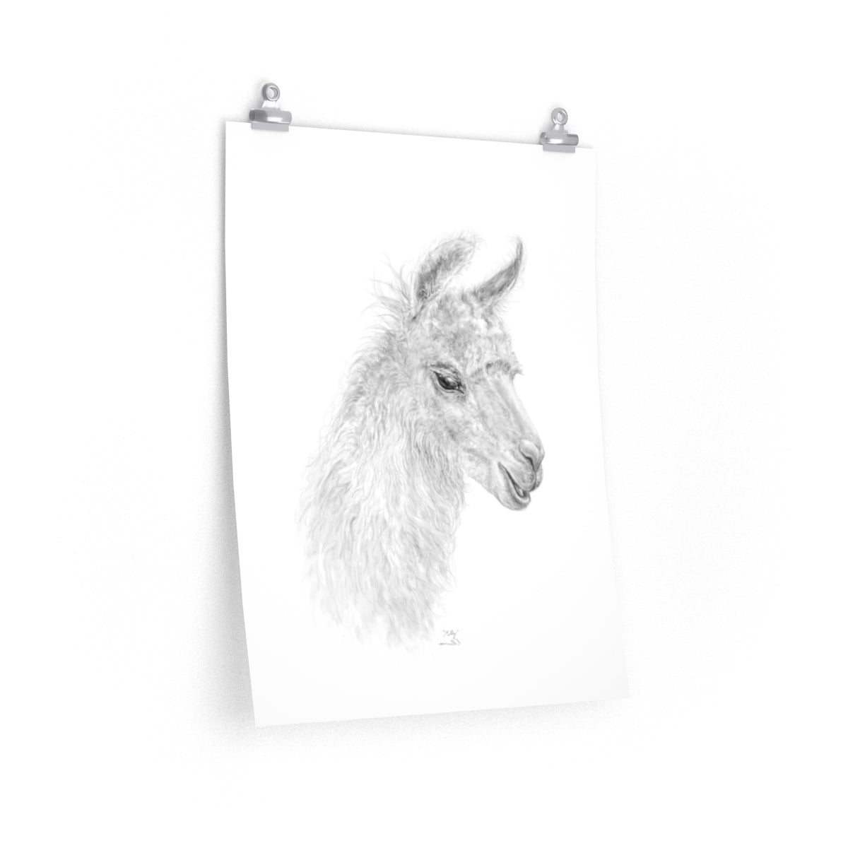 MOLLY Llama- Art Paper Print