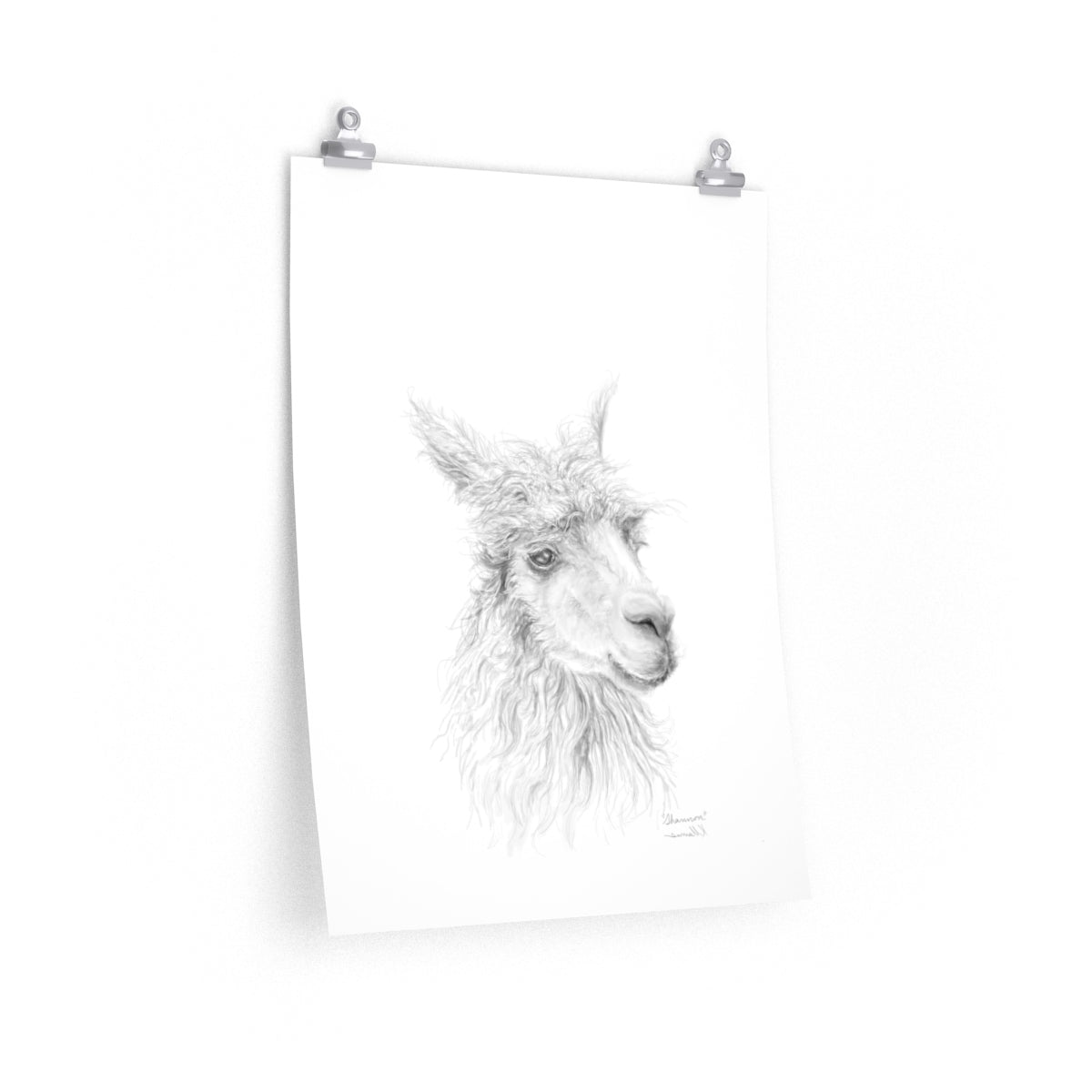 SHANNON Llama- Art Paper Print