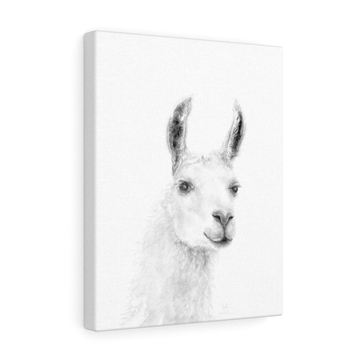 JILL Llama - Art Canvas