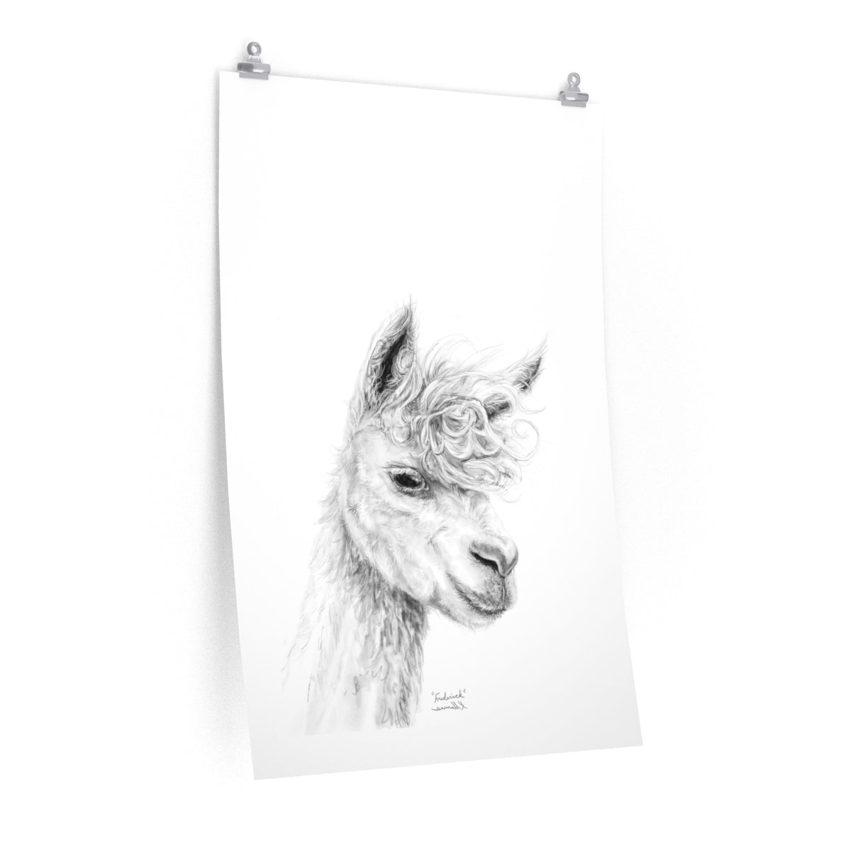 FREDERICK Llama- Art Paper Print