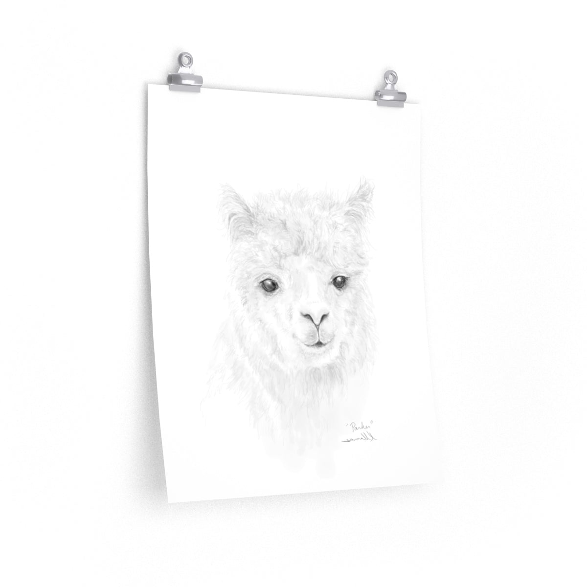 PARKER Llama- Art Paper Print