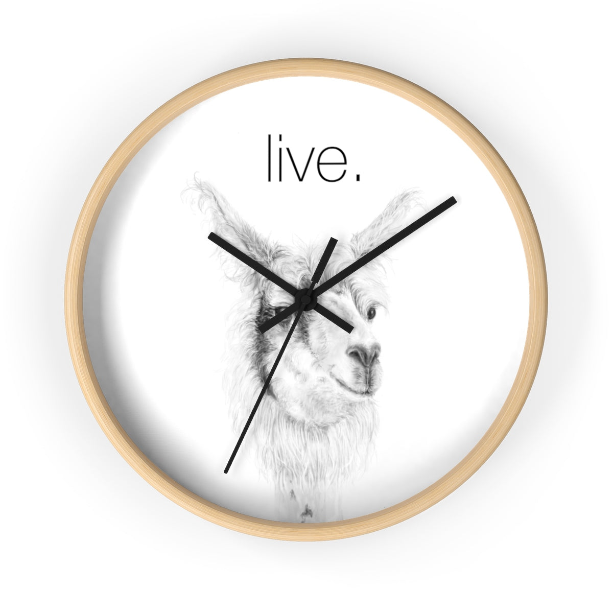 Llama LIVE Wall clock: ADAM