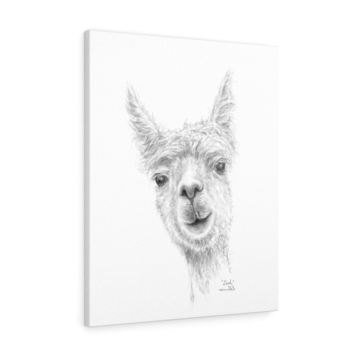 ZACH Llama - Art Canvas