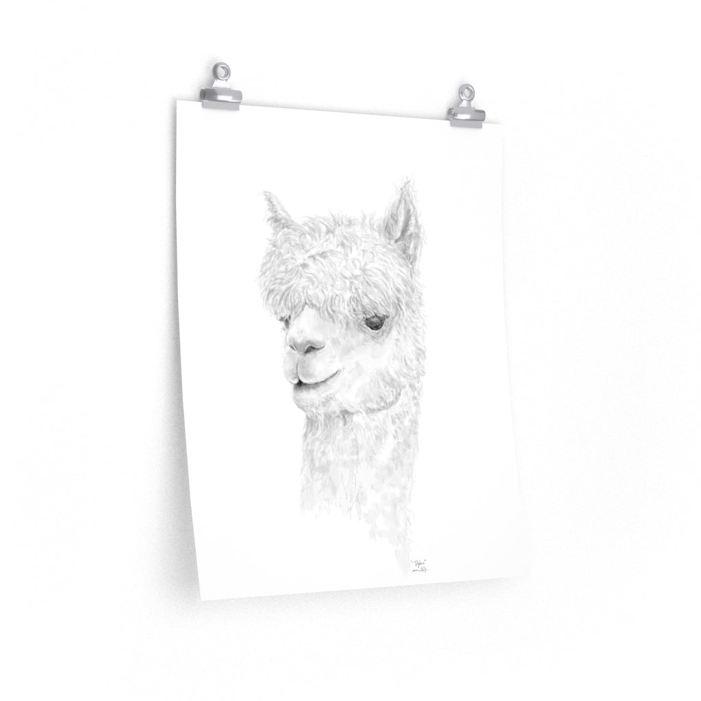 DYLAN Llama- Art Paper Print