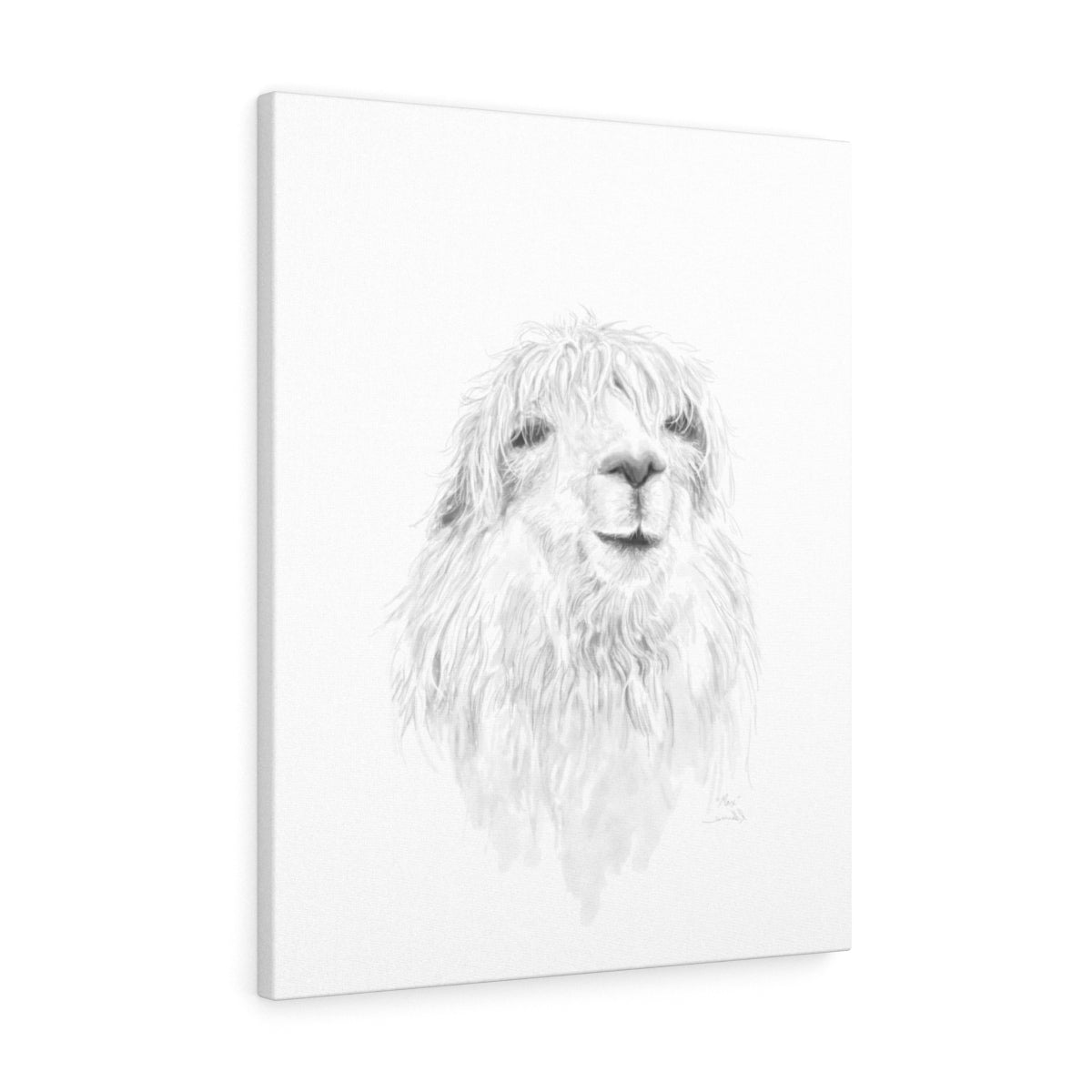 MAX Llama - Art Canvas