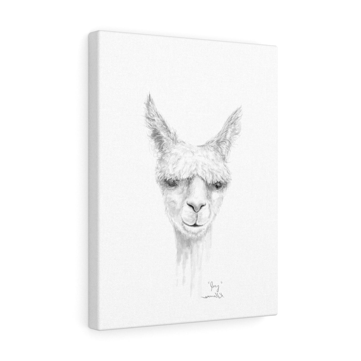 JOEY Llama - Art Canvas