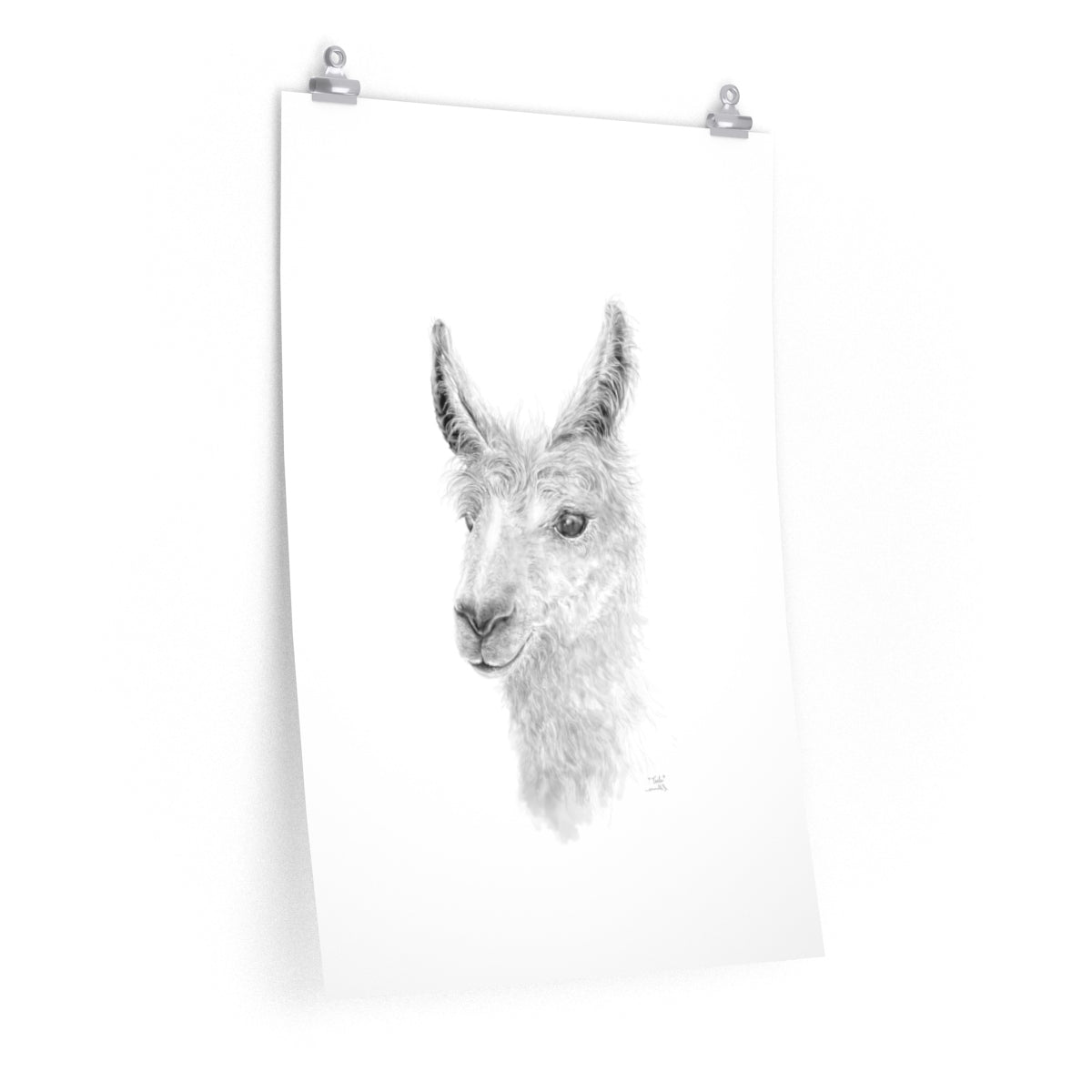TEELE Llama- Art Paper Print