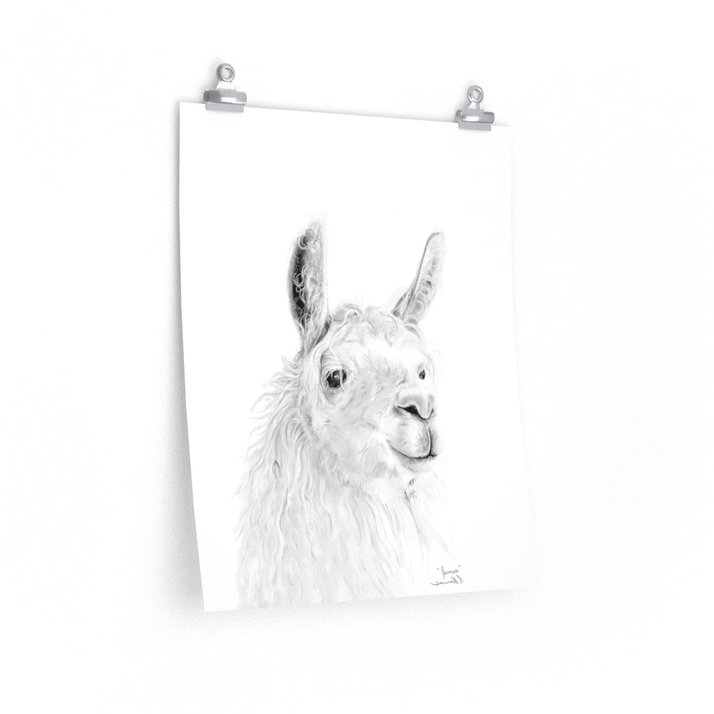 JAMES Llama- Art Paper Print