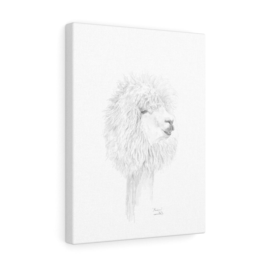 MIRIAM Llama- Art Canvas