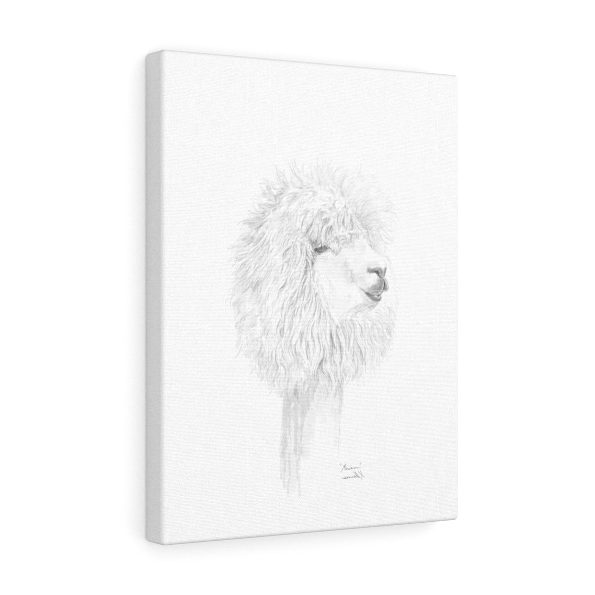 MIRIAM Llama- Art Canvas