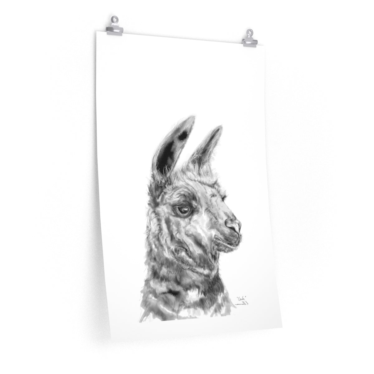 GABE Llama- Art Paper Print