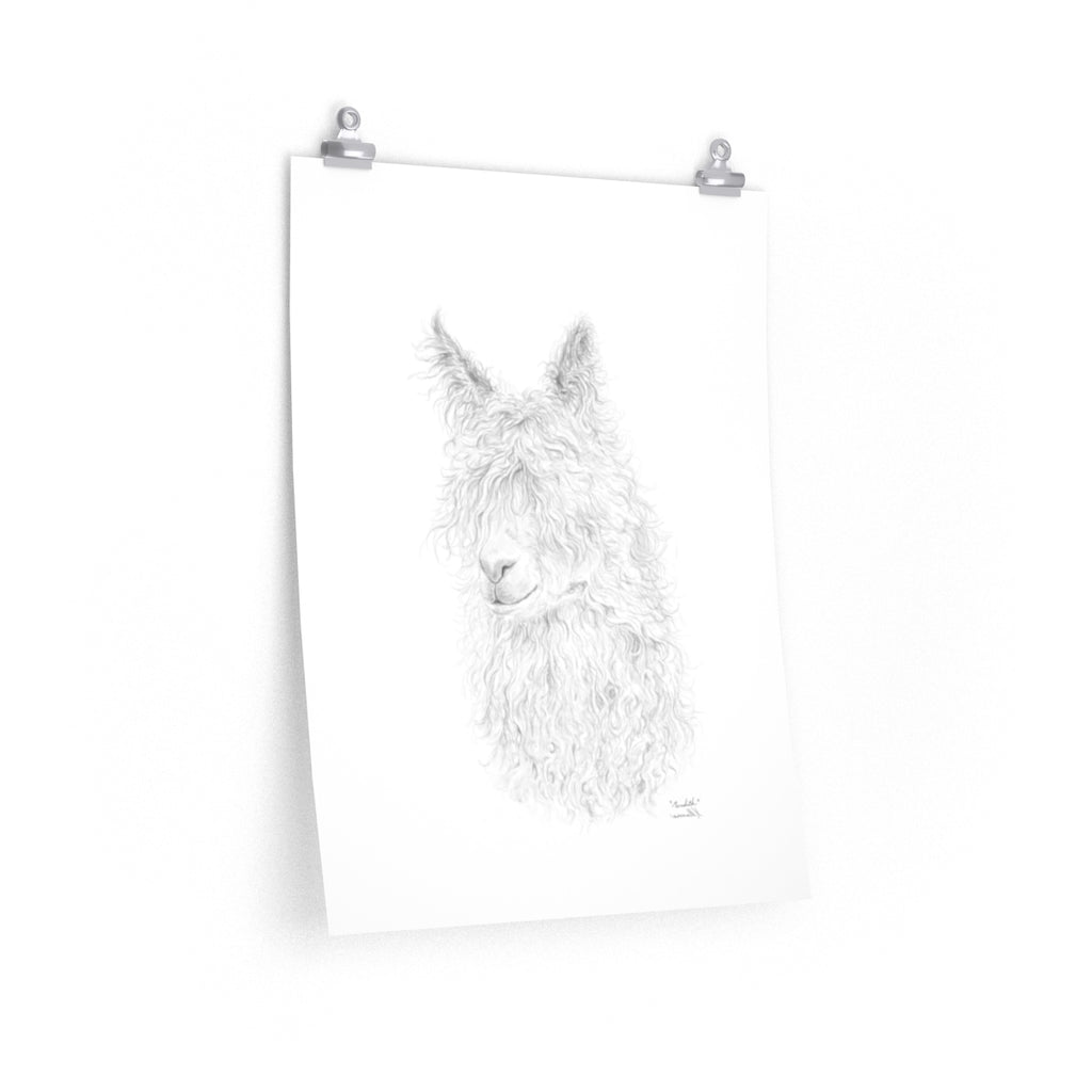 MEREDITH Llama- Art Paper Print