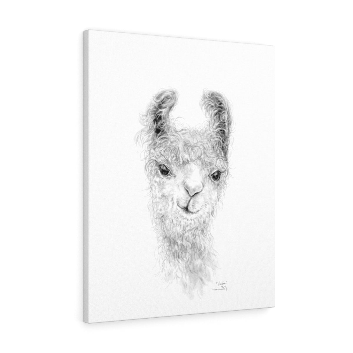 VICKIE Llama - Art Canvas