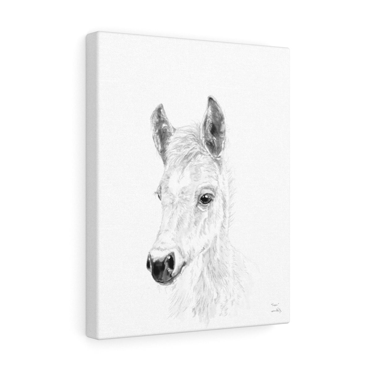 Cooper Horse - Animal Art Canvas