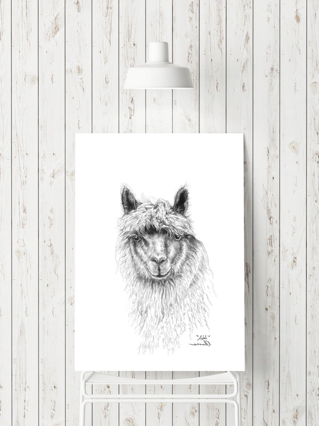 ADDI Llama- Art Canvas