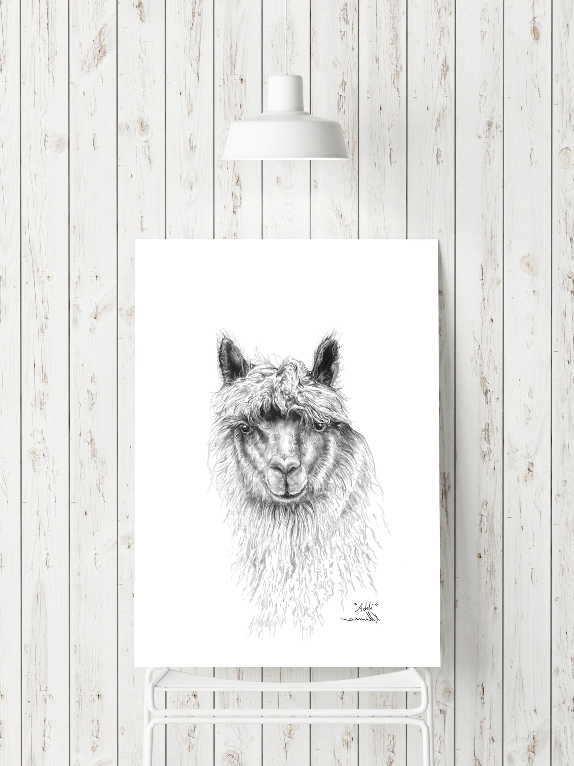 ADDI Llama- Art Canvas