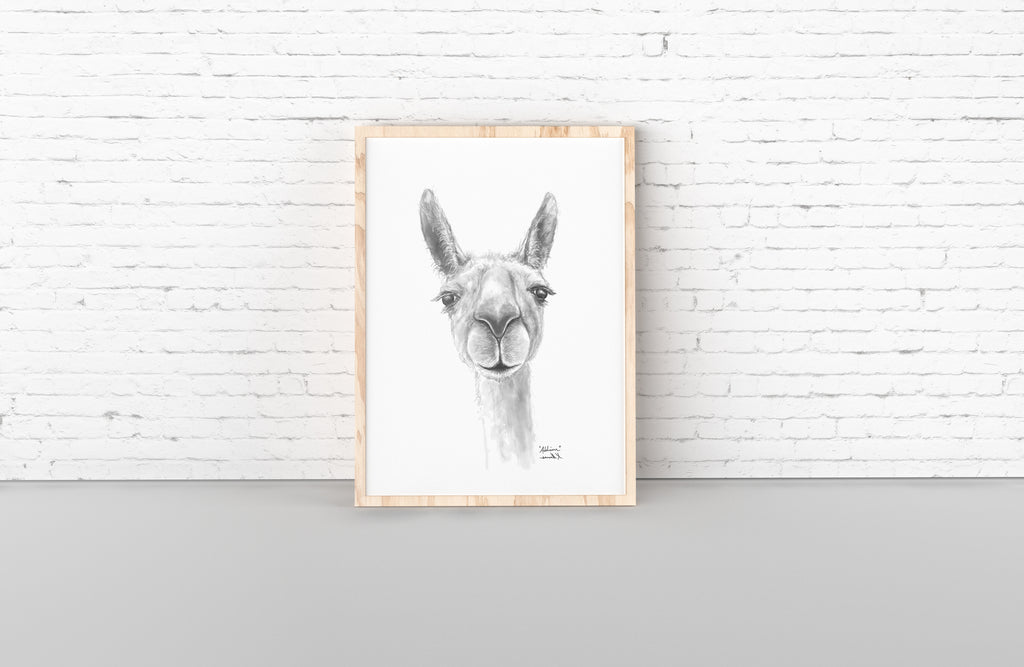 ADDISON Llama- Art Canvas