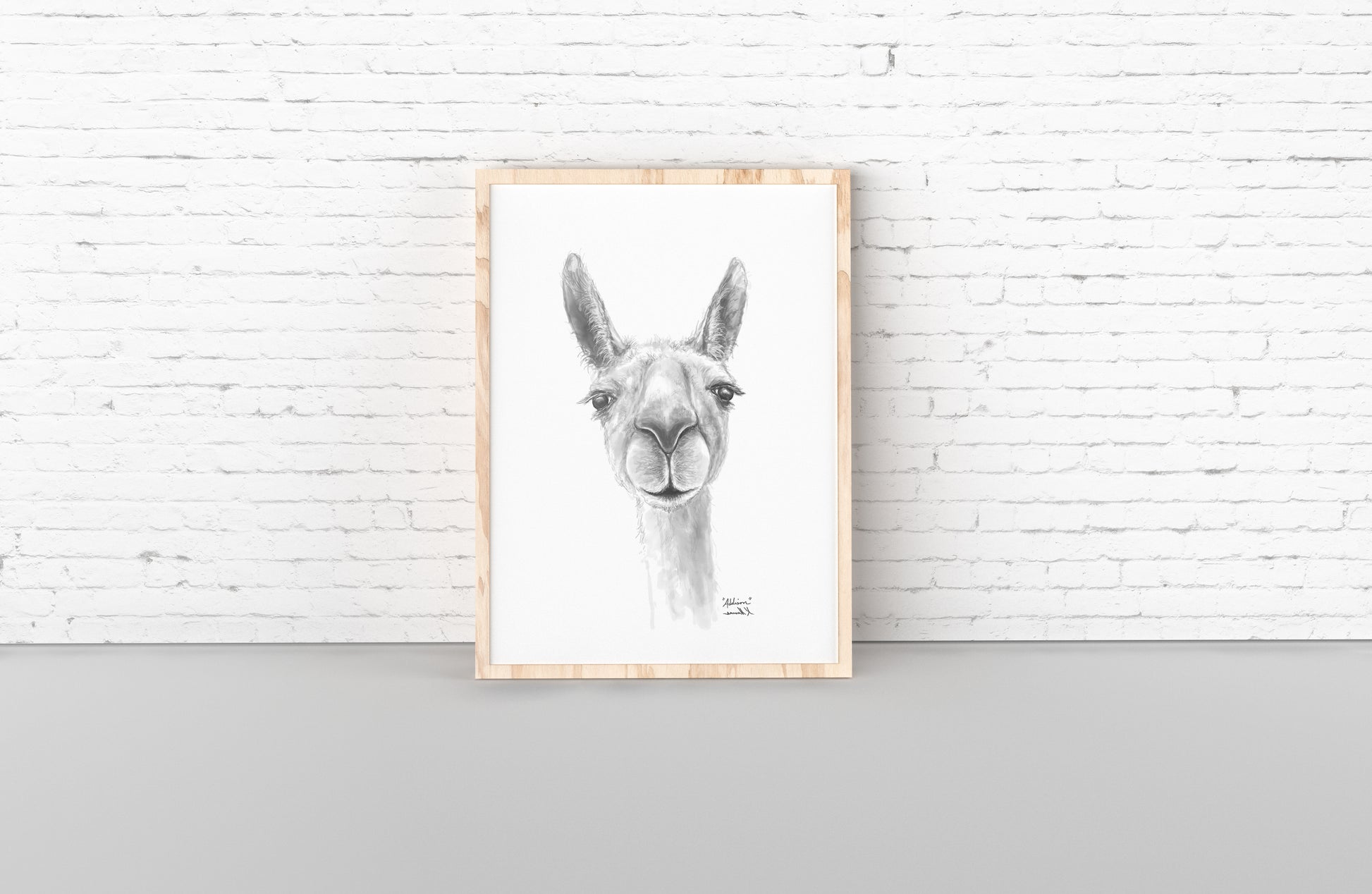 ADDISON Llama- Art Canvas