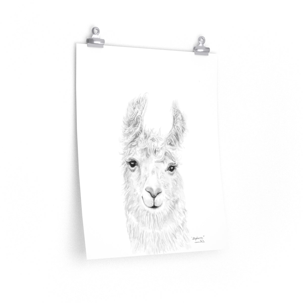 STEPHANIE Llama- Art Paper Print