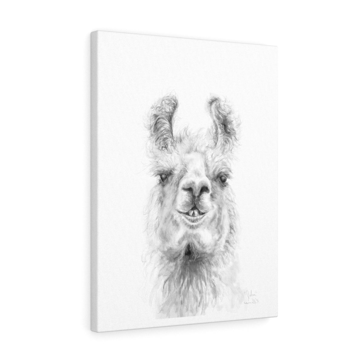 JOHN Llama - Art Canvas