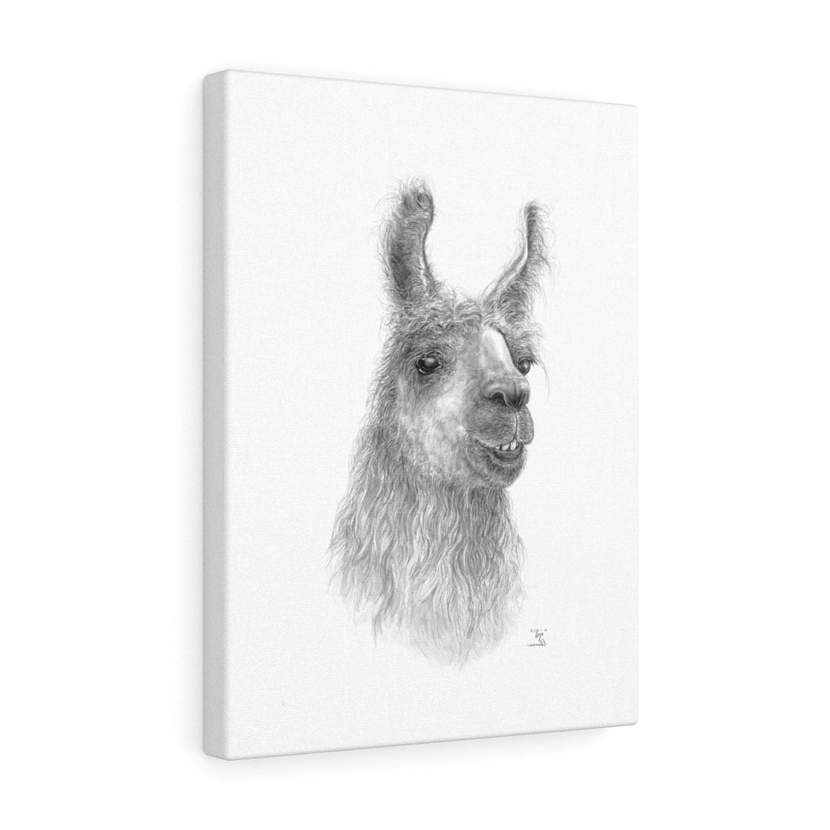 Rojo Llama- Art Canvas
