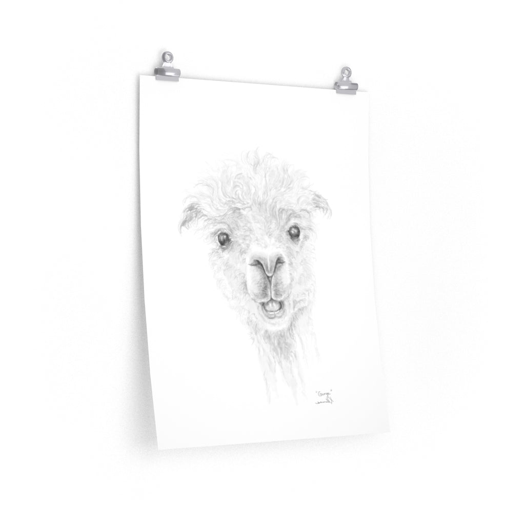 GEORGE Llama- Art Paper Print