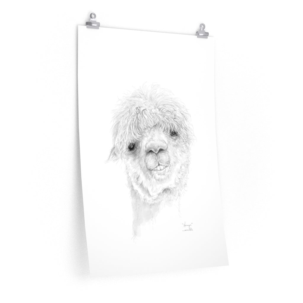HOUZER Llama- Art Paper Print