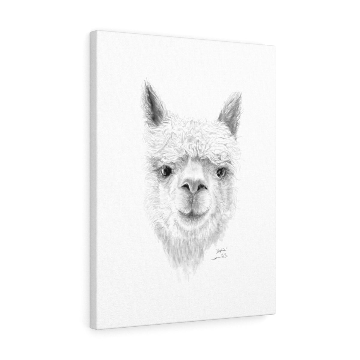 SOPHIA Llama - Art Canvas
