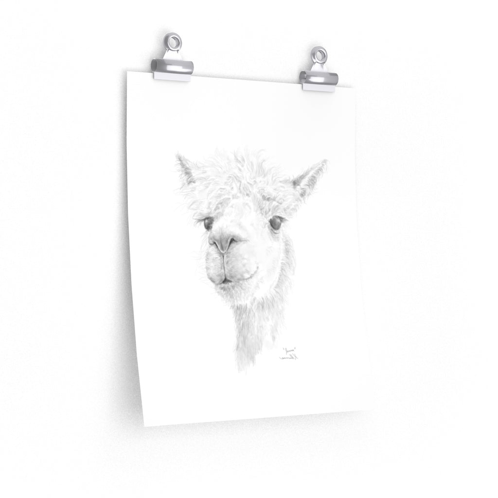 Jenna Llama- Art Paper Print
