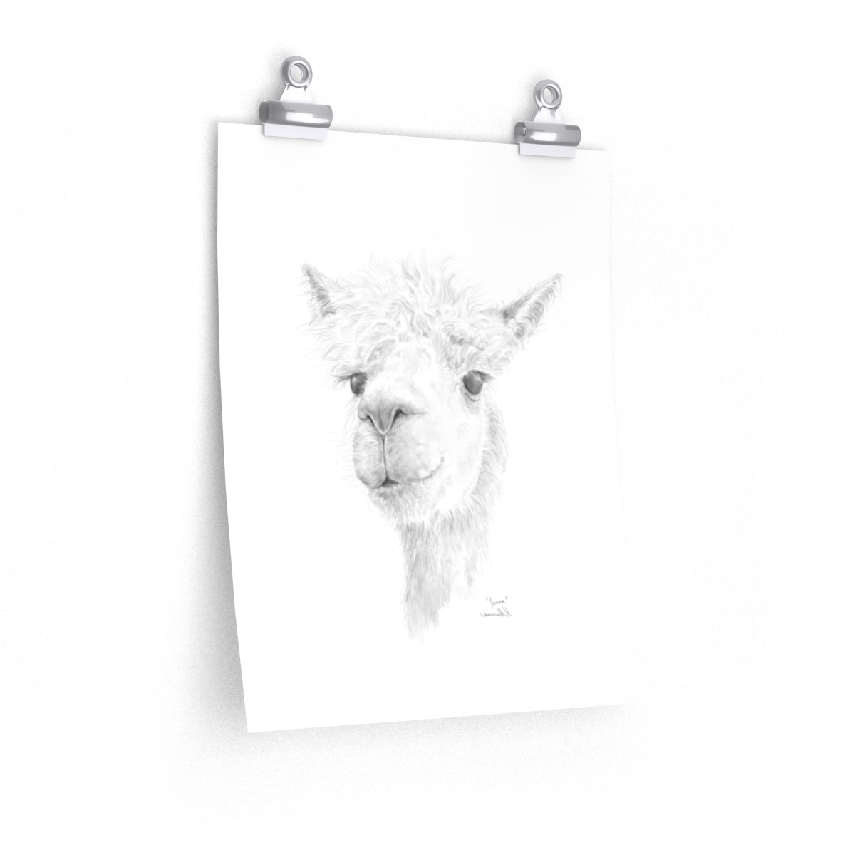Jenna Llama- Art Paper Print