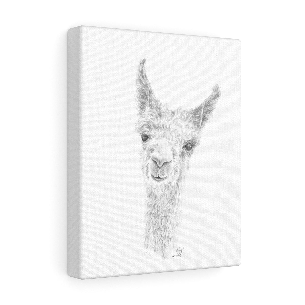 HALEY Llama - Art Canvas