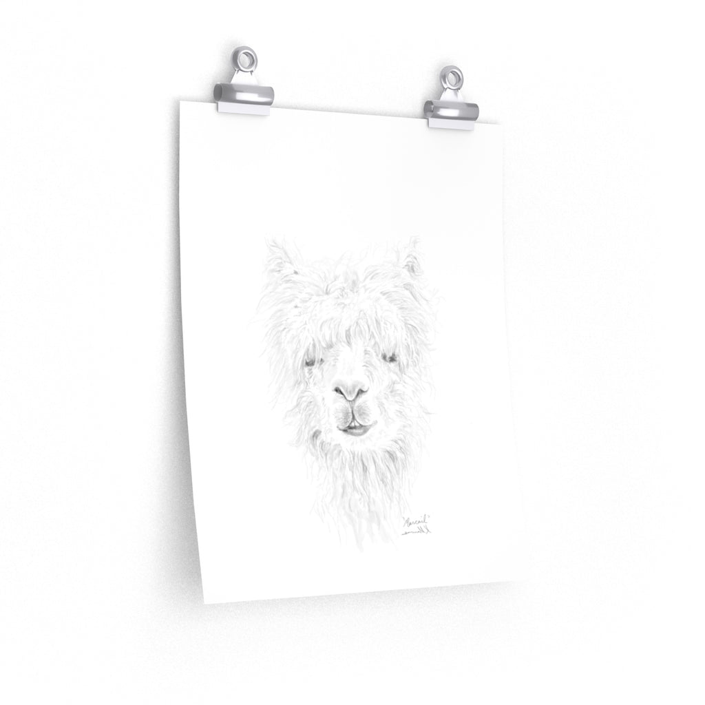 MARCAIL Llama- Art Paper Print