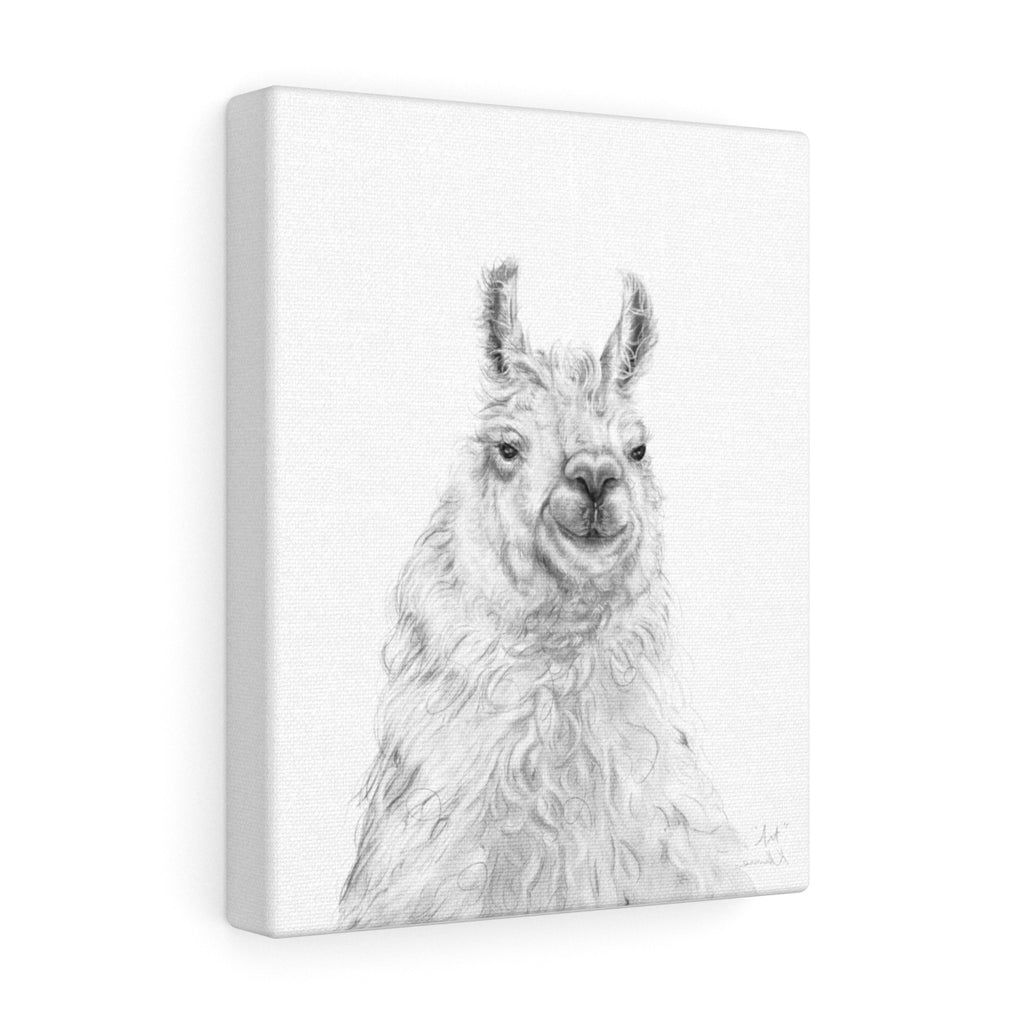 ART Llama - Art Canvas