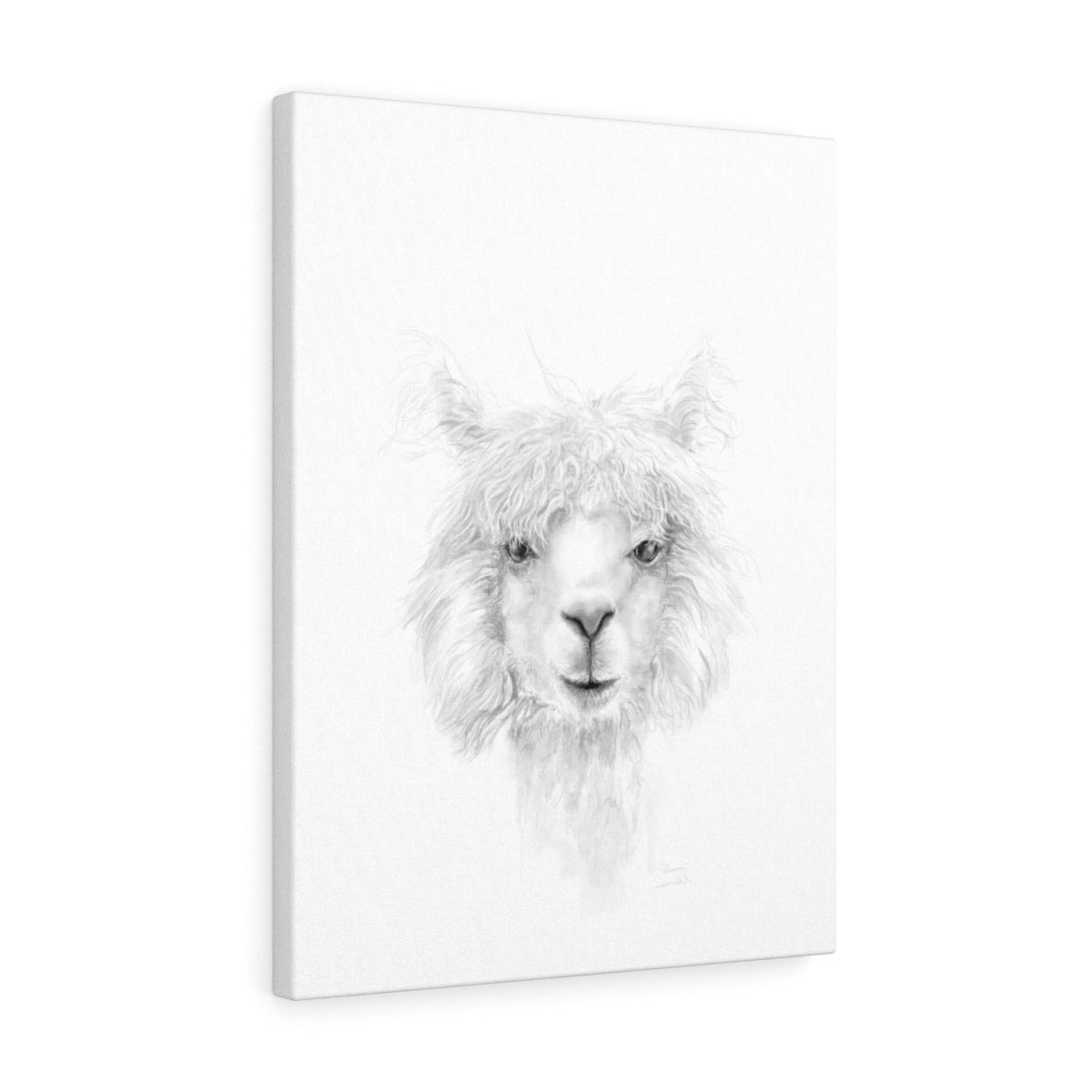 QUINN Llama - Art Canvas