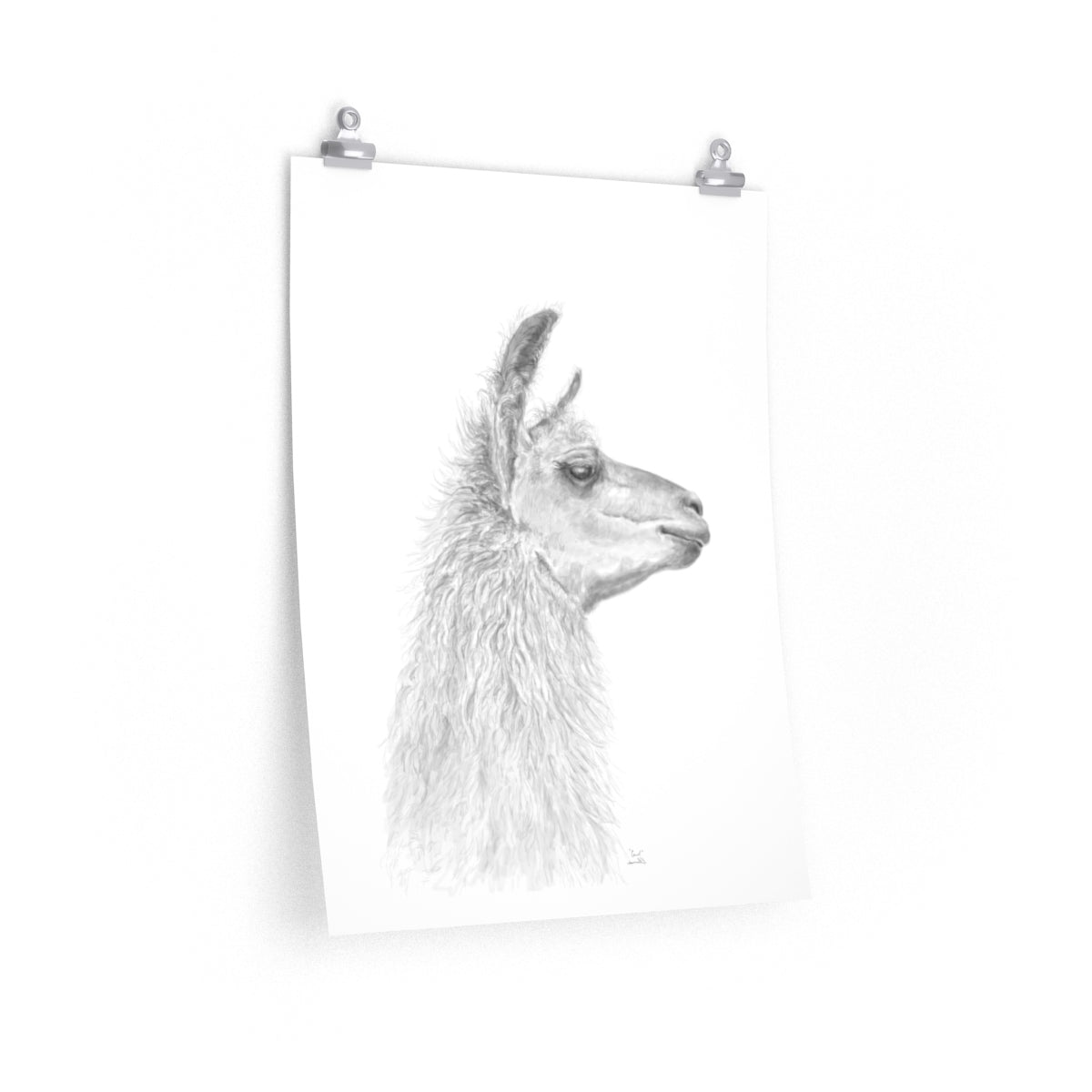 CAROL Llama- Art Paper Print