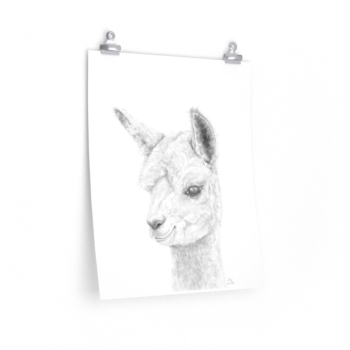 SKY Llama- Art Paper Print