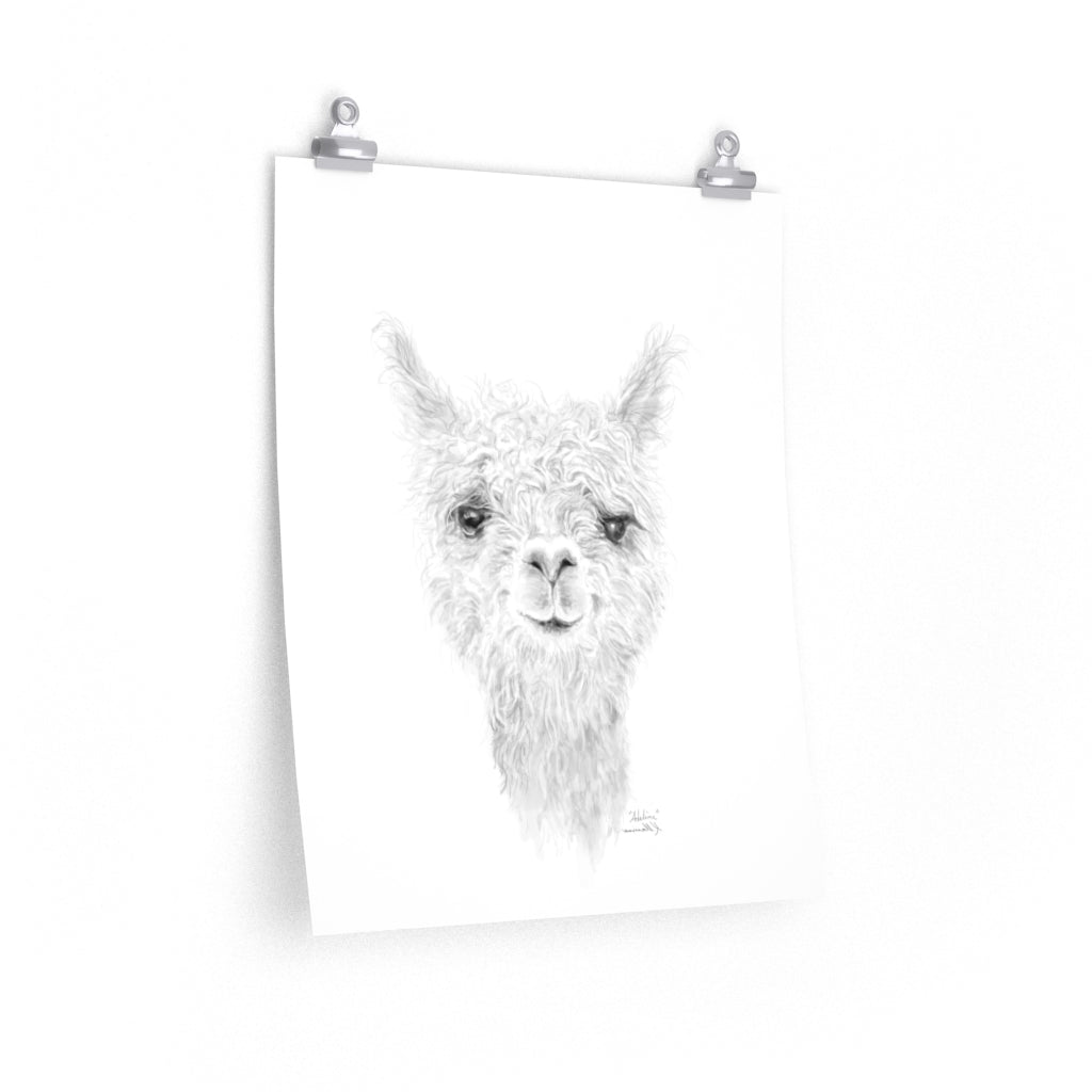 ADELINE Llama- Art Paper Print
