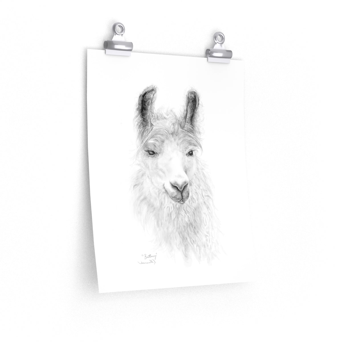 BRITTANY Llama- Art Paper Print