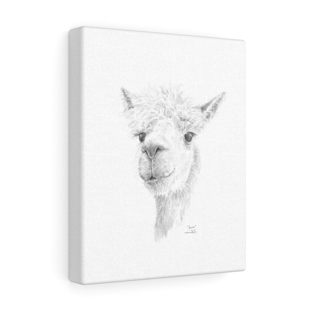 Jenna Llama - Art Canvas
