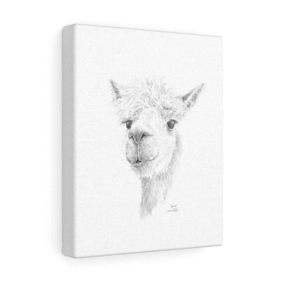 Jenna Llama - Art Canvas