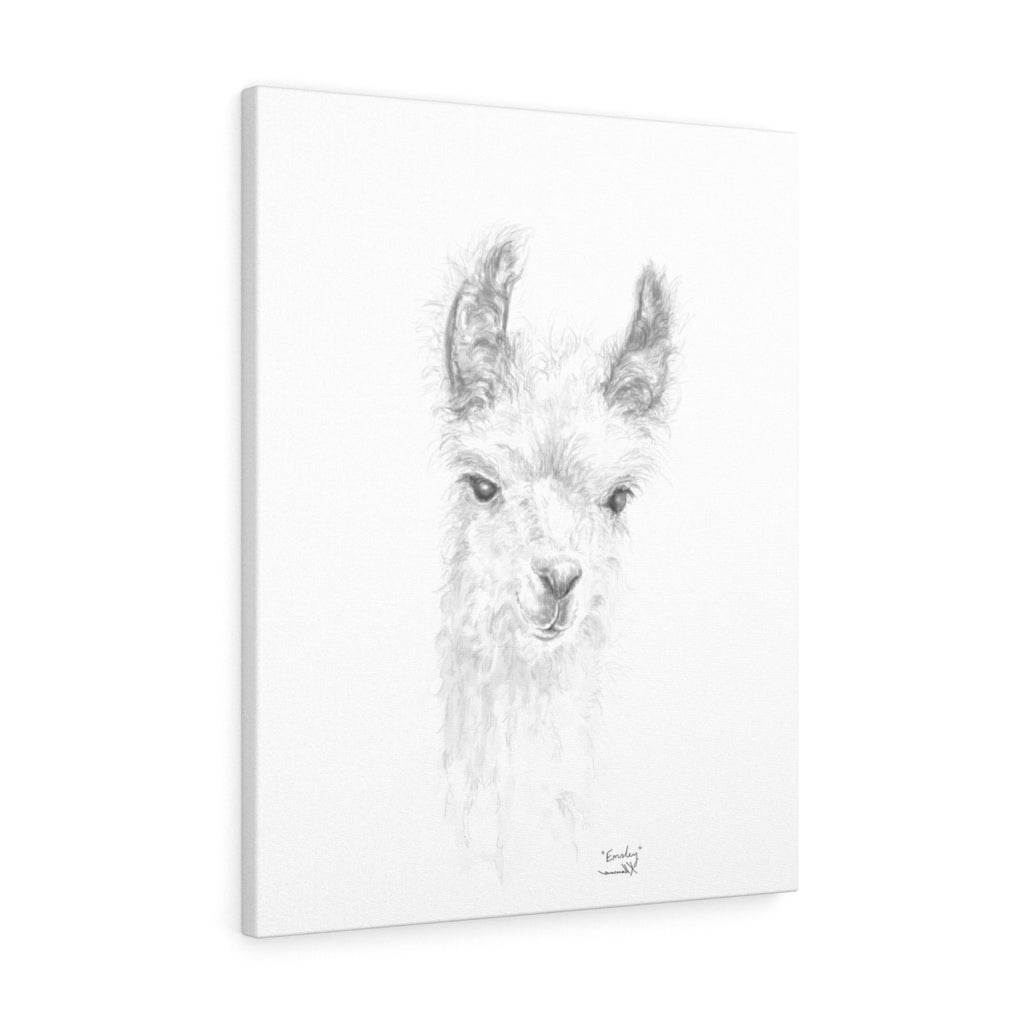 EMSLEY Llama - Art Canvas
