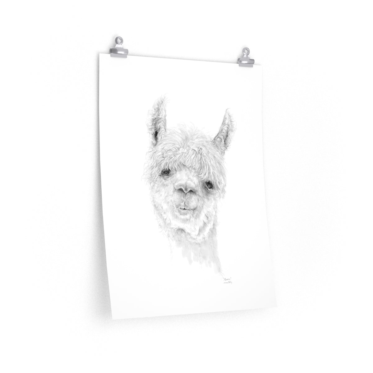 MASON Llama- Art Paper Print