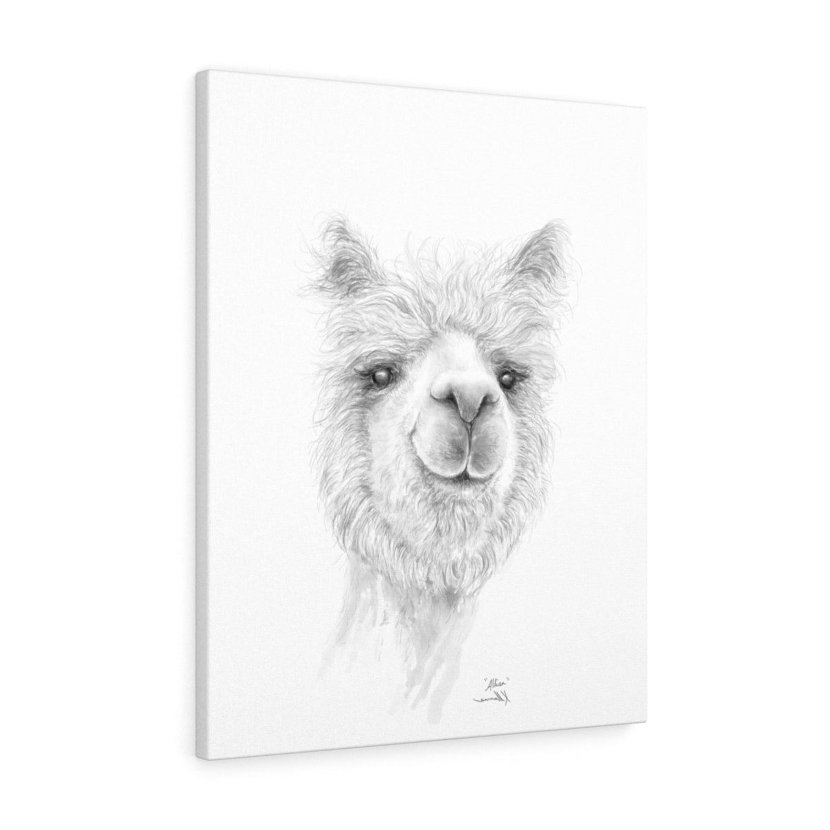 ALLISA Llama - Art Canvas
