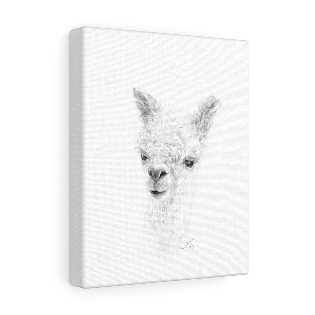 ZOE Llama - Art Canvas