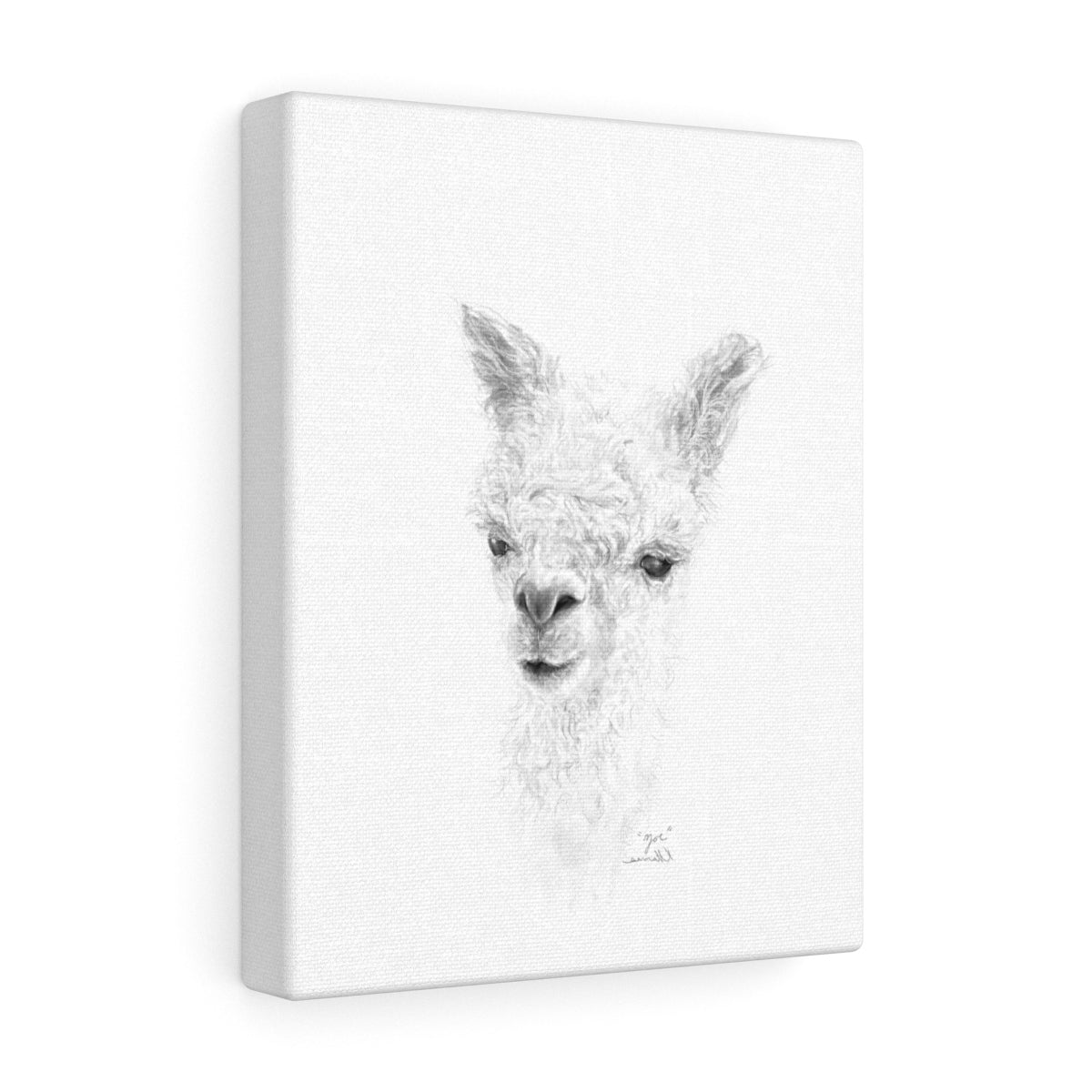 ZOE Llama - Art Canvas