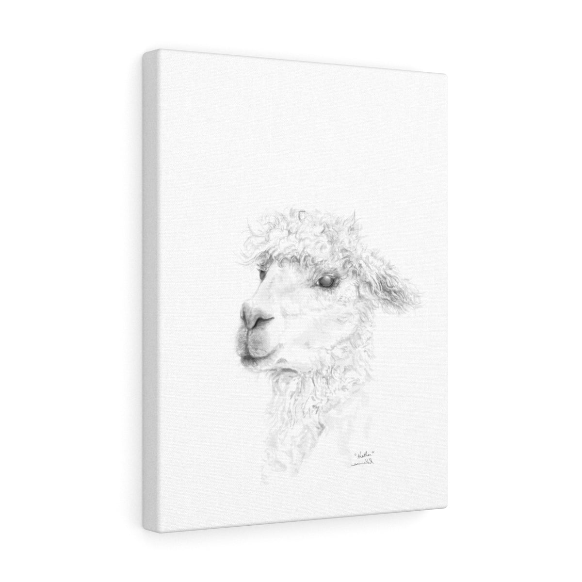 HEATHER Llama - Art Canvas