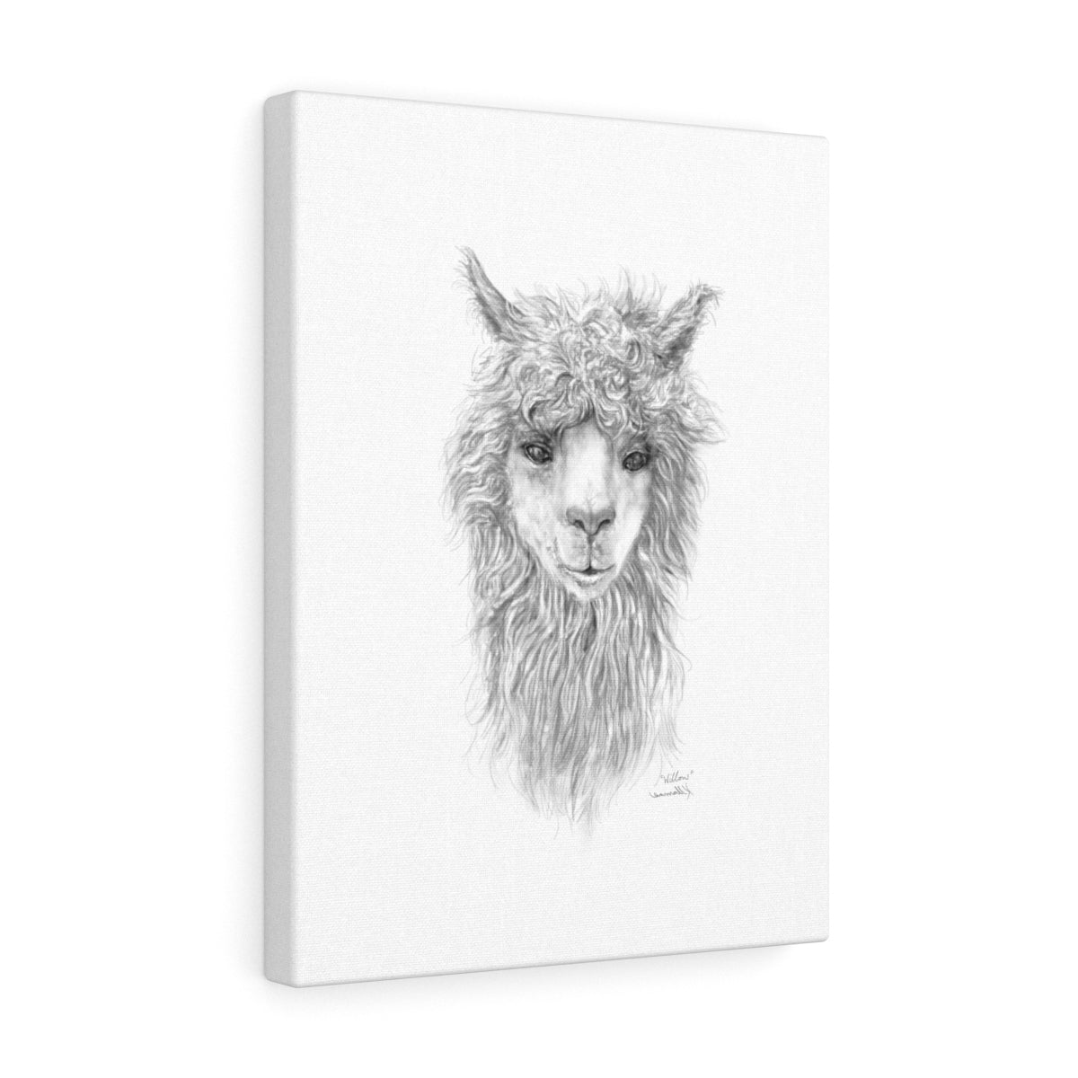 WILLOW Llama - Art Canvas
