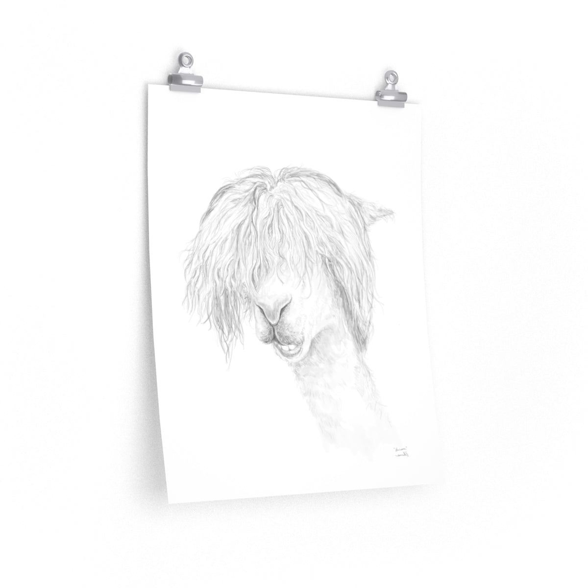 HARRISON Llama- Art Paper Print