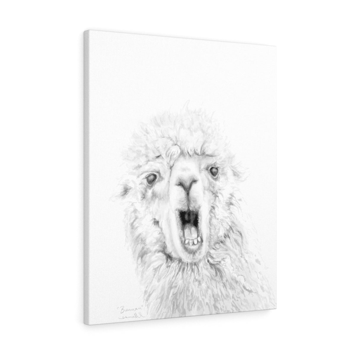 BRENNAN Llama - Art Canvas